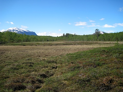 Abisko Juni 2009 dag 5 - 07.jpg